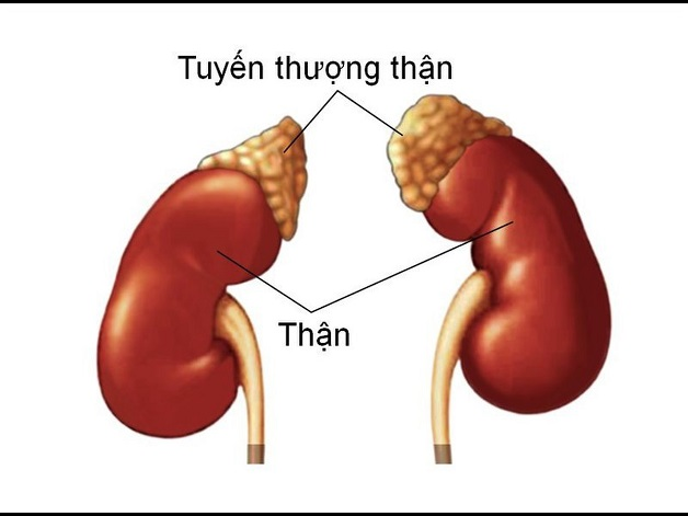 Rối loạn tuyến giáp thượng thận