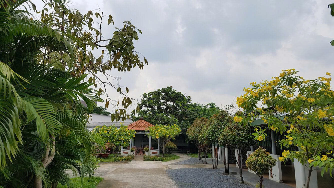 Lắng Nghe và Thấu Hiểu: Chăm Sóc Tinh Thần Cho Người Cao Tuổi